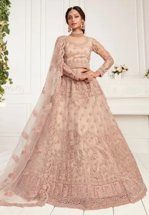 Beige Brown Net Embroidered Wedding Lehenga Choli