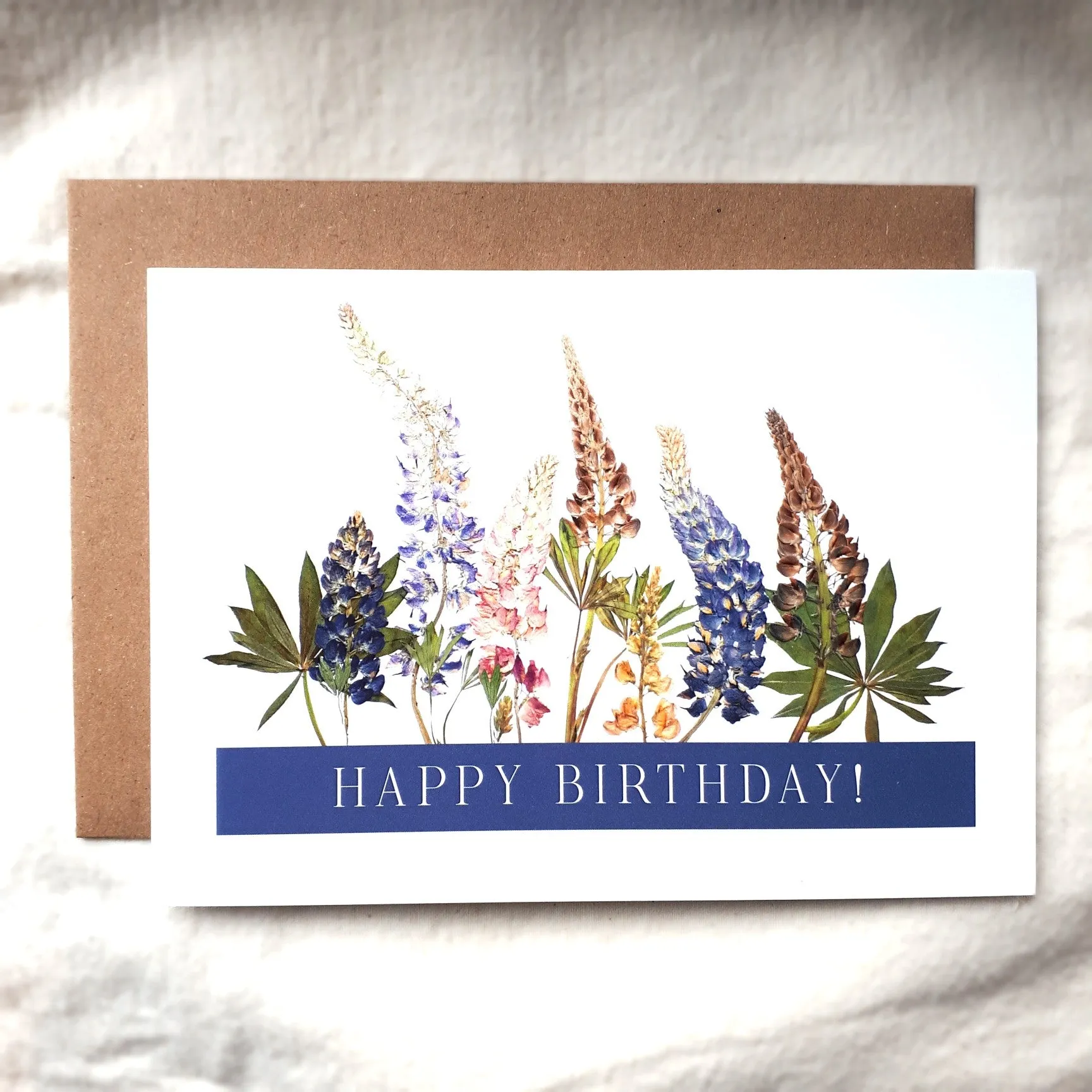 Seek & Bloom Greeting Cards