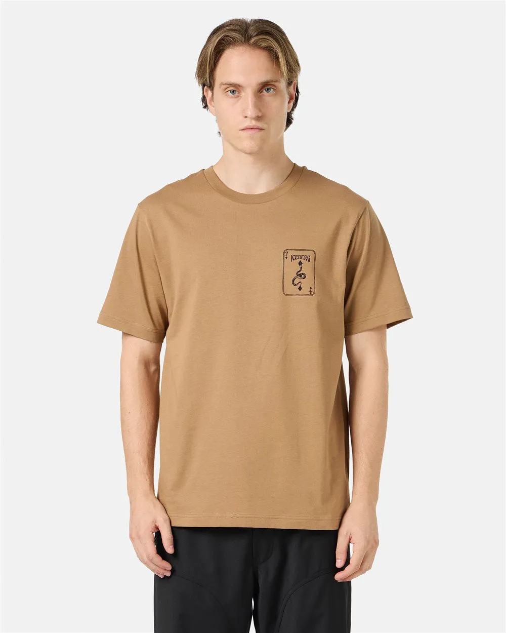 Short-sleeved T-shirt with prints and embroidery (Khaki) - I24F02063271229